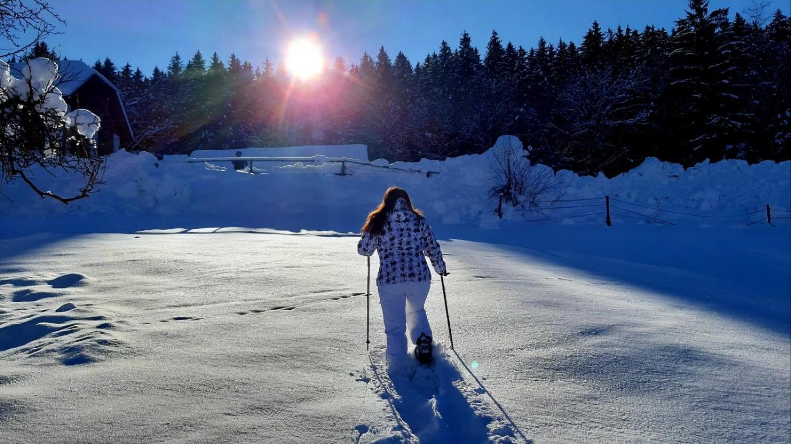 Kantor Village Am Millstaetter See - Boutique-Chalets Und Lodges Millstatt Exterior foto